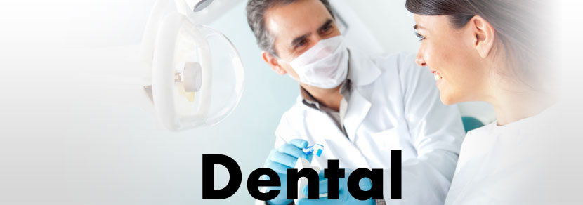 affordable dental insurance in florida